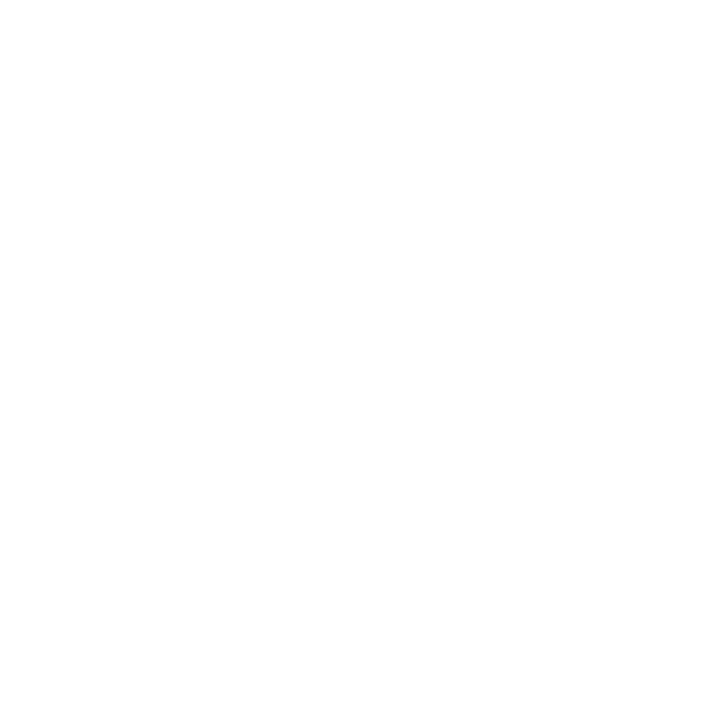 IATA LOGO Aryan travel